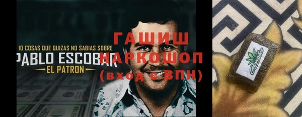 тгк Гусев