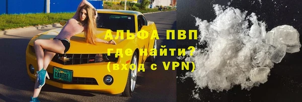 амф Гусиноозёрск
