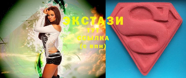 тгк Гусев