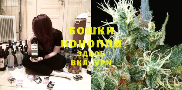 тгк Гусев
