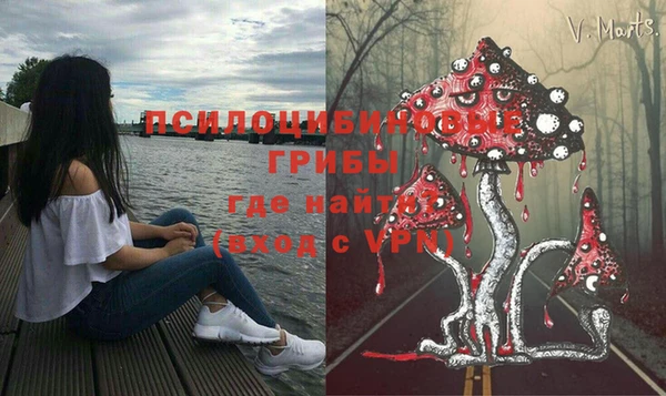 экстази Гусь-Хрустальный