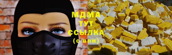 тгк Гусев