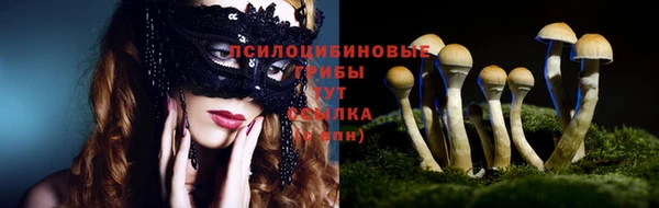 экстази Гусь-Хрустальный