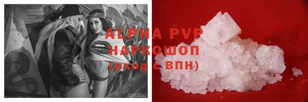 амф Гусиноозёрск
