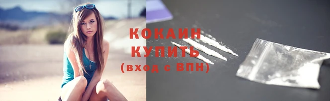 тгк Гусев