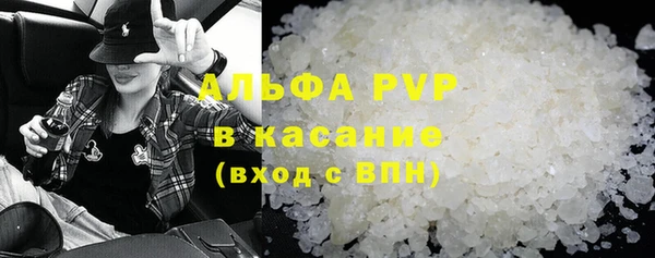 амф Гусиноозёрск