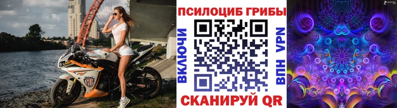 Галлюциногенные грибы мицелий  Купить закладки  Райчихинск 